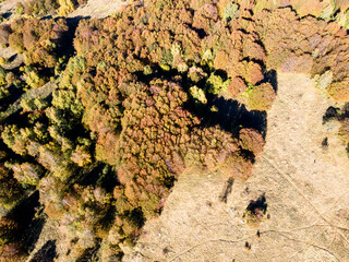 Aerial Autumn panorama of Vitosha Mountain, Bulgaria