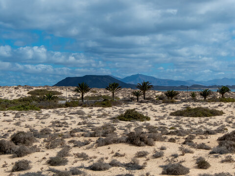 Views across the desert to the mountains and sea of Fuerteventura