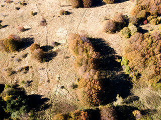 Aerial Autumn panorama of Vitosha Mountain, Bulgaria