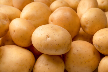 A group of fresh tasty potato as  background.