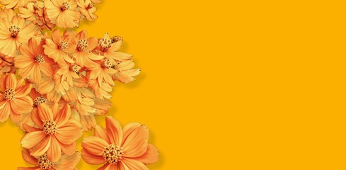 yellow background with a combination of flowers and leaves