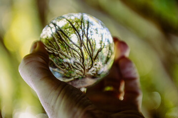 Through the Lens ... Ball