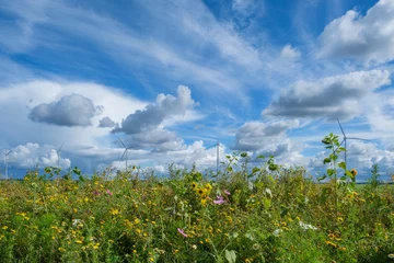 Deurstickers Reevediep , Kamperveen, Overijssel province, The Netherlands © Holland-PhotostockNL