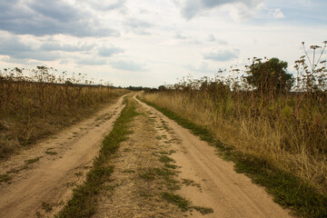 Pastoral landscape - a country road in a field with old withered grass and a cloudy sky on a cloudy August day and a space for copying