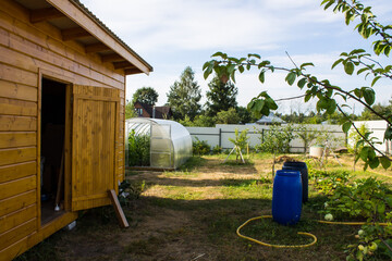 Fototapeta na wymiar A wooden shed and large blue plastic water barrel stands in the garden among trees and green grass on a sunny summer day in the Moscow region Russia