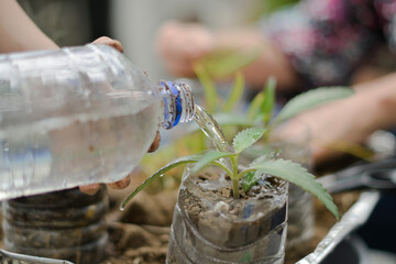 water spilling from a bottle to irrigate a plant in an urban garden © alejandro