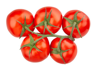 tomato branch path isolated on white