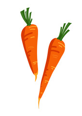carrot carrots, draw on isolated background, graphic icon