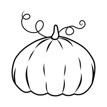 pumpkin drawing suitable for coloring book. outline pumpkins sketch, gourds different types, shapes and sizes. Vector isolated illustration for halloween, thanksgiving day