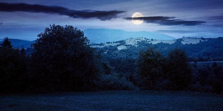 countryside landscape at night in summer. forested hills and grassy meadows in mountains. scenery with fluffy clouds on the sky in full moon light