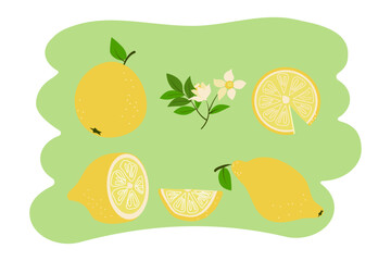  Set of lemons . Whole lemons and lemon wedges with leaves and flower. Vector illustration. Isolated background.