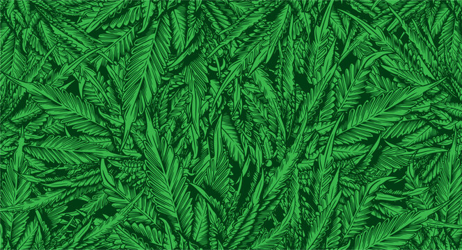 Green Leaf Cannabis marijuana ganja weed Background