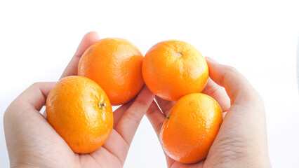 Hand holding small orange, Close up of a small orange fruit isolate on white background.