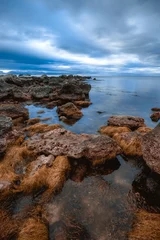 Photo sur Plexiglas Plage de Bolata, Balgarevo, Bulgarie scenic view on rocky bulgarian coast, Tjulenovo, Bolata, Kaliakra cape, Black sea, Bulgaria, europe