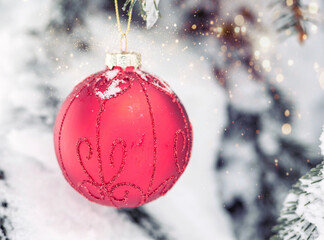 Red Christmas decoration globe on a pine tree with snow on the branches. Winter winter holidays postcard