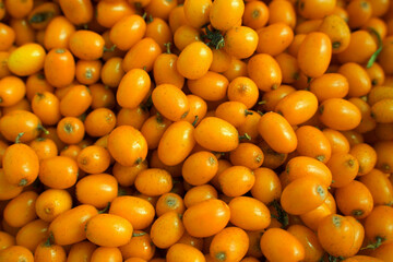 Ripe sea buckthorn berries background. Concept of healthy eating. Selective focus, macro...