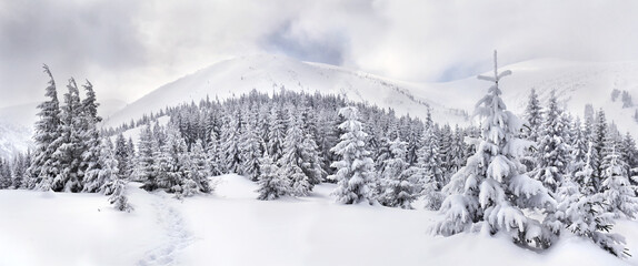 Winter landscape of mountains with path with footprints in snow following in fir forest and glade © Anastasiia Malinich
