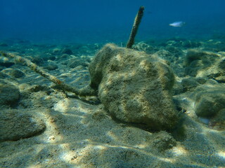 Typical illegal anchoring undersea, Aegean Sea, Greece, Halkidiki. Sea pollution and danger to divers and swimmers.