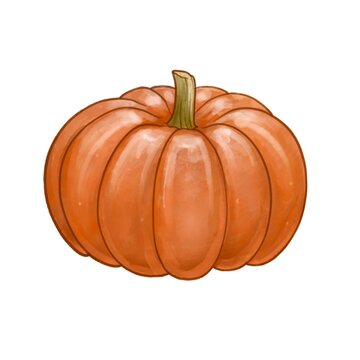 Pumpkin. Realistic watercolor illustration of pumpkin . Isolated on white background.
