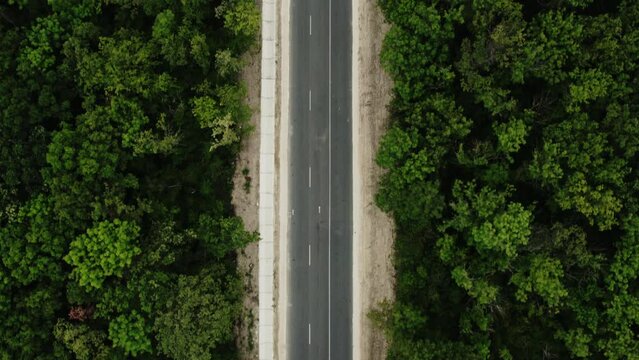 Cinematic aerial top down view of the empty road between green forest. Drone slow motion shot of the road in the forest.