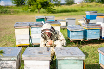 Outdoor meadow honey farming. Beekeeping landscapes with beehives.