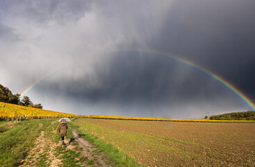 Girl with an umbrella and rainbow over vineyards in autumn