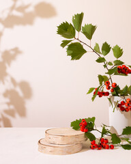 Wood podium saw cut of tree on beige background with autumn red hawthorn berries ans plaster vase....
