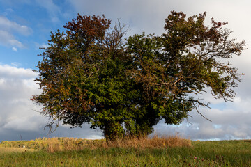 Herbststimmung Bilder aus dem Harz