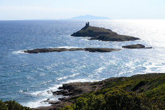 &icirc;les du Cap Corse - &Icirc;les Finocchiarola - Haute-Corse