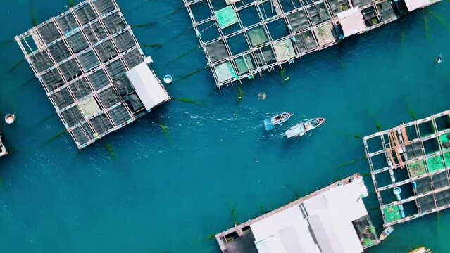Drone footage flying over farm box water in blue water to breed seafoods at sea with floating boats