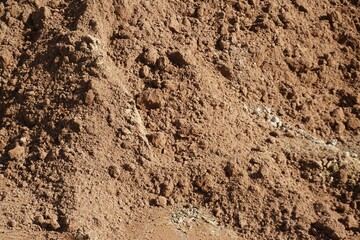 Rot-brauner trockener Erdhügel bei Sonne am Mittag im Sommer