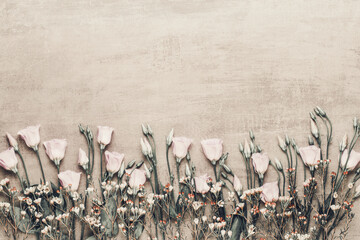 Spring greeting card, pastel color tulips on the gray background.