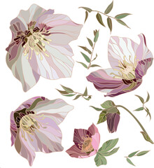 Botanical set of sketch flowers and branches	