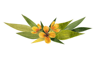 frame of watercolor flowers and lilac sorrel