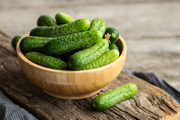 Fresh ripe organic small gherkin cucumbers in bowl on wooden table, not marinated vegetable, cornichon