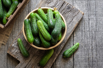 Fresh ripe organic small gherkin cucumbers in bowl on wooden table, not marinated vegetable,...