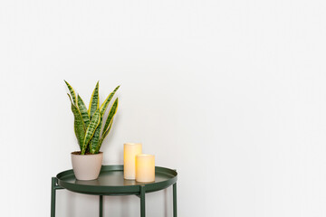 minimalistic scandinavian interior, house, apartment, green coffee table on white wall background, home plants, candles, sansivieria, comfort, decor, place for text, green corner, layout, trendy