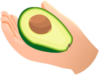 Caucasian hand holds avocado isolated background vector. Proper nutrition, vegan. Eco-product. Avocado in hand Stylish flat cartoon illustration with copy space for text, half of fresh fruit