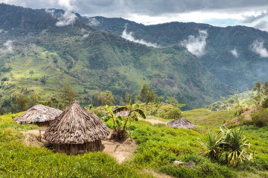 Traditional round houses (called Honai) with vegetal roof, village in the Baliem Valley, near Wamena, West Papua, Indonesia