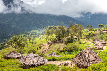 Traditional round houses (called Honai) with vegetal roof, village in the Baleim Valley, near Wamena, West Papua, Indonesia