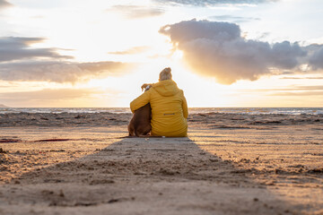a german boxer dog sitting on the seashore during sunset with owner blonde girl team partner friend...