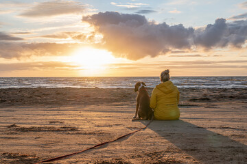a german boxer dog sitting on the seashore during sunset with owner blonde girl team partner friend...