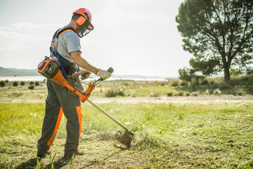 Backlit back view of a man removing grass with a trimmer