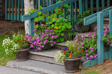 Colorful flowerpots on steps, Anchorage, Alaska