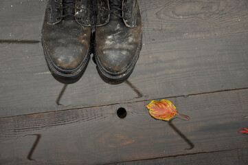 old boots with autumn leaf on wet wooden floor