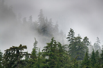 Usa, Alaska. Mists, fog and rain for the coastal temperate rainforest in Southeast Alaska.