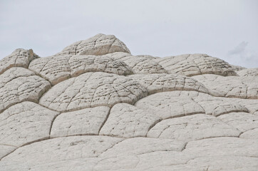 USA, Arizona, Vermilion Cliffs National Monument. White Pocket, white checkerboard formations of...