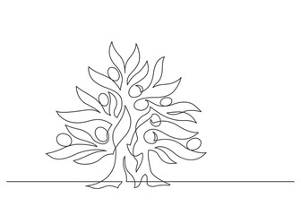 Continuous line drawing of olive tree on white background. Beautyfull tree one line. Vector illustration