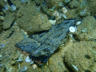 Plastic garbage underwater, Aegean Sea, Greece, Halkidiki. Sea pollution.
