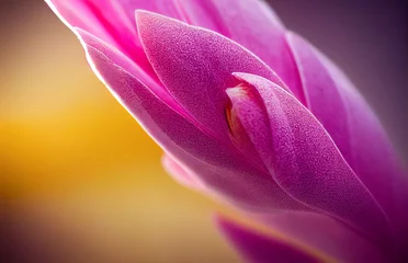 Blühende exotische Blume, Makrofoto. Blumenhintergrund in violetten violetten Tönen mit weichem, selektivem Fokus. Bild für Karten, Einladungen, Banner. © Viks_jin
